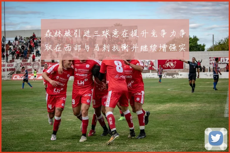 森林狼引进三球意在提升竞争力争取在西部与马刺抗衡并继续增强实力